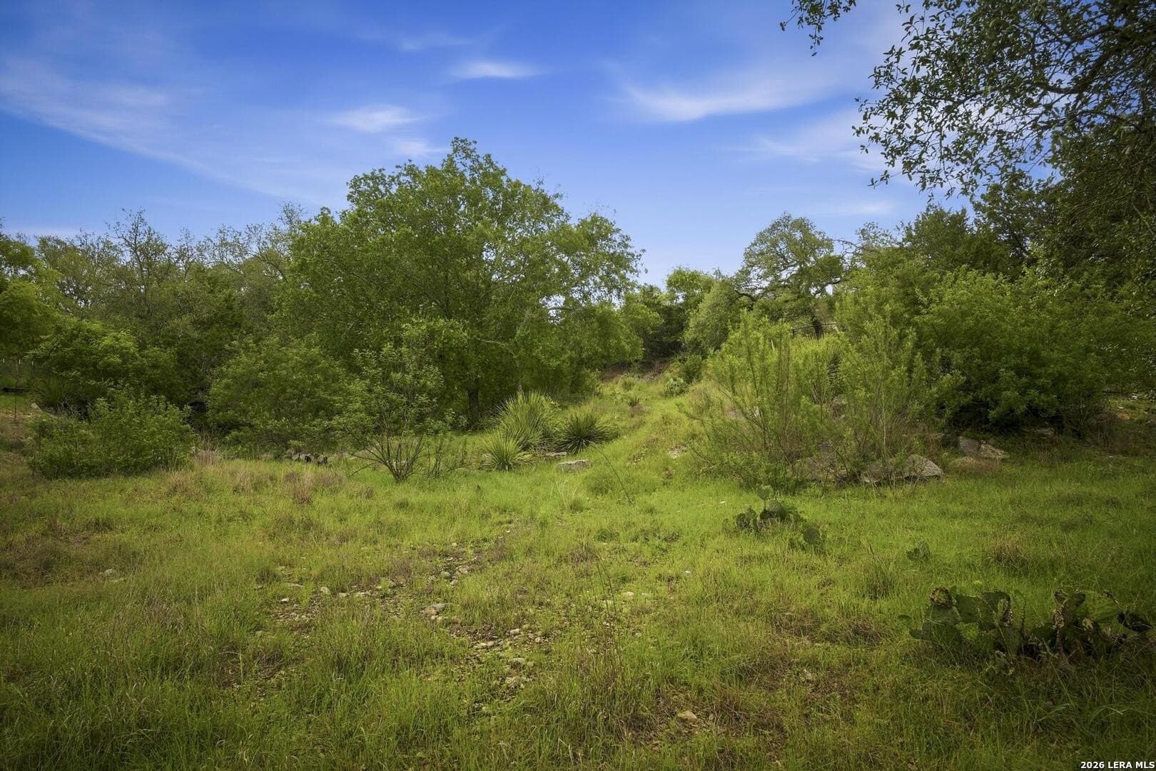 1.06 acres in Comal County - photo 21