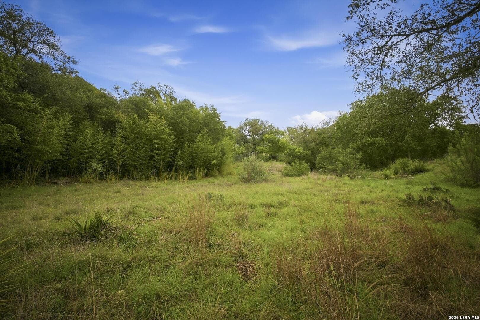 1.06 acres in Comal County - photo 20