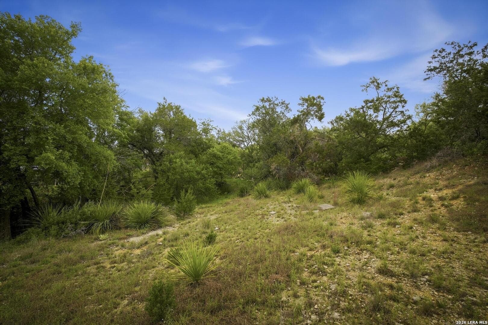 1.06 acres in Comal County - photo 25