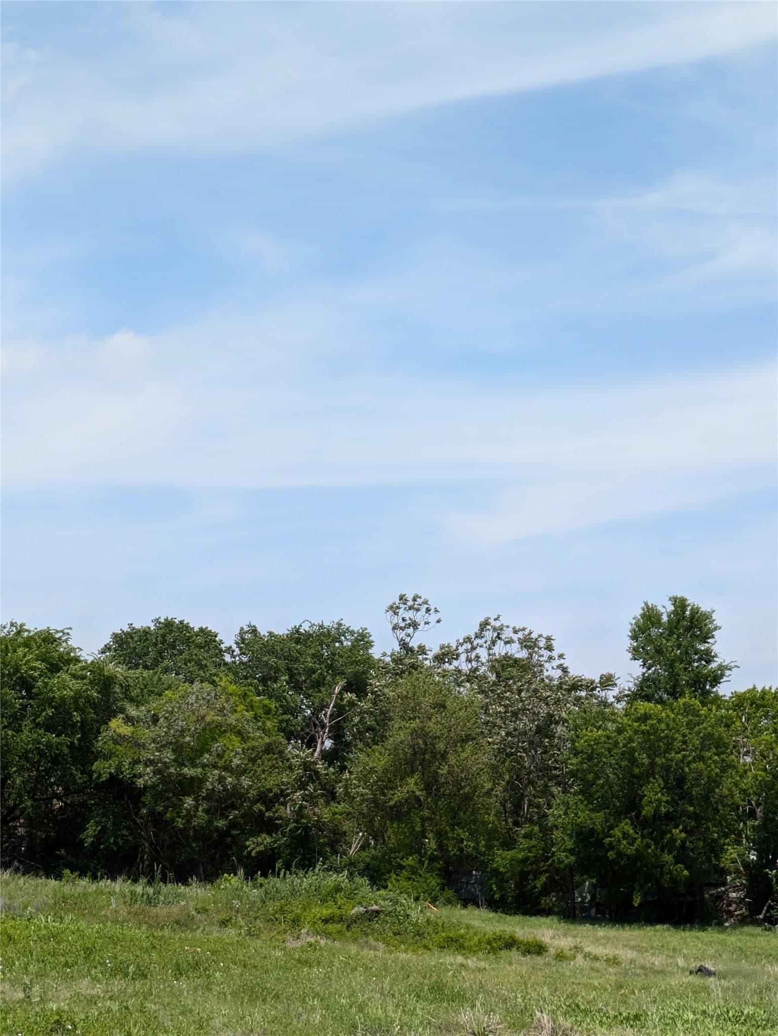 0.1 acres in Dallas County gallery image 3