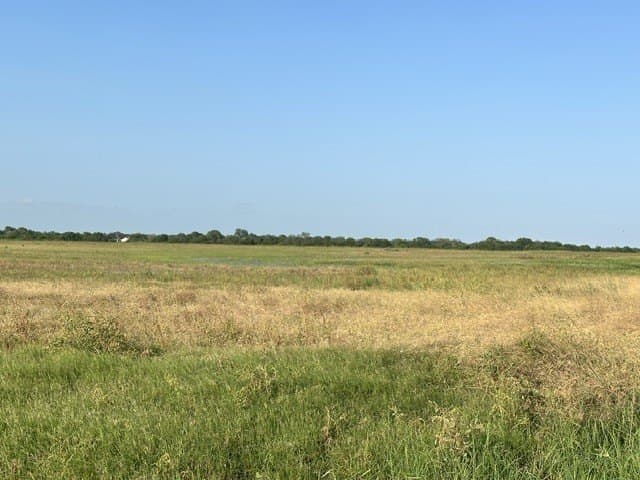 23 acres in Kleberg County gallery image 3