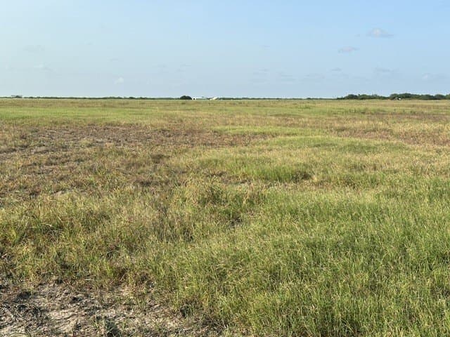 23 acres in Kleberg County gallery image 2