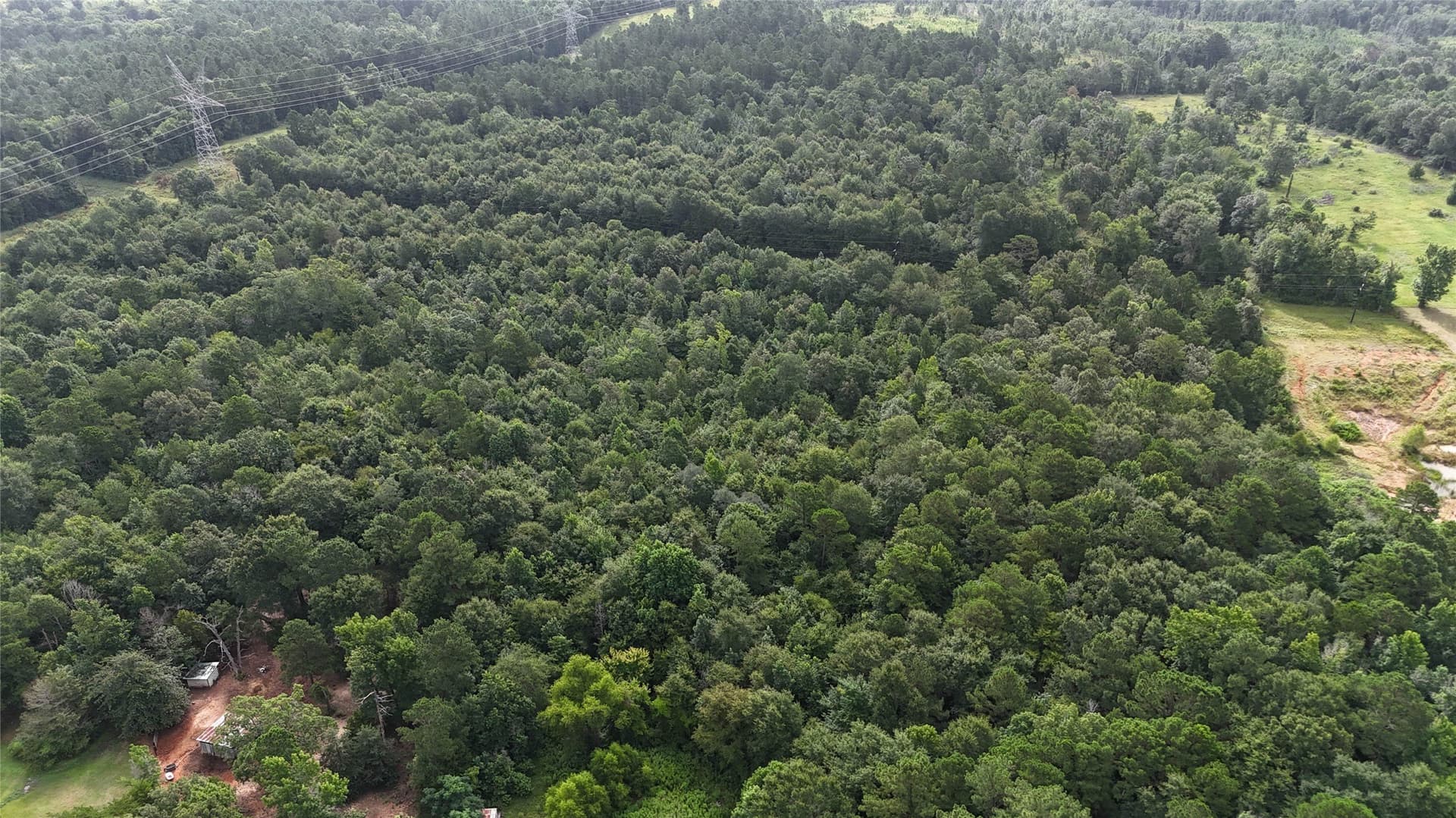12.46 acres in Smith County gallery image 2