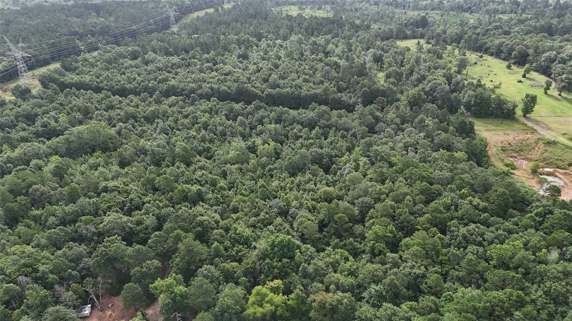 12.46 acres in Smith County gallery image 3