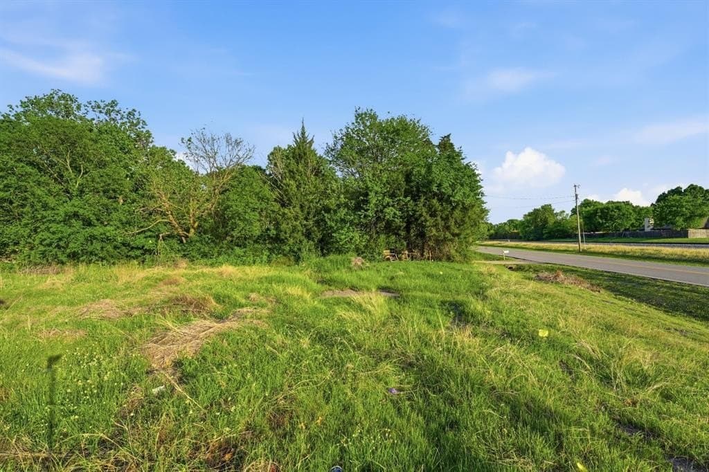 0.18 acres in Dallas County gallery image 4