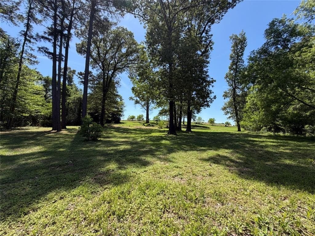 1.25 acres in Henderson County gallery image 2