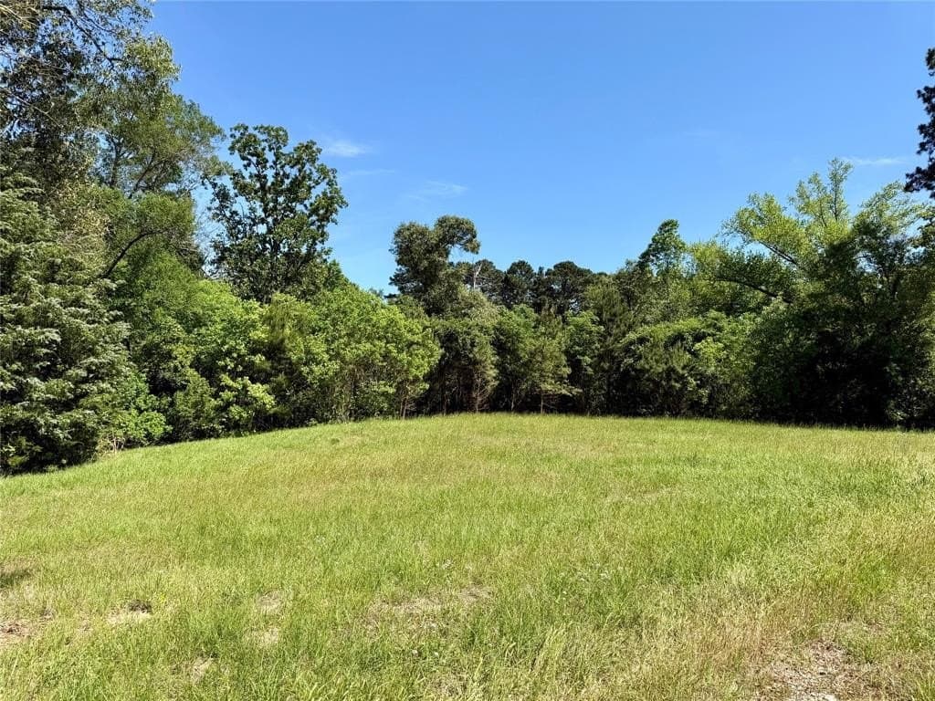 1.25 acres in Henderson County gallery image 3