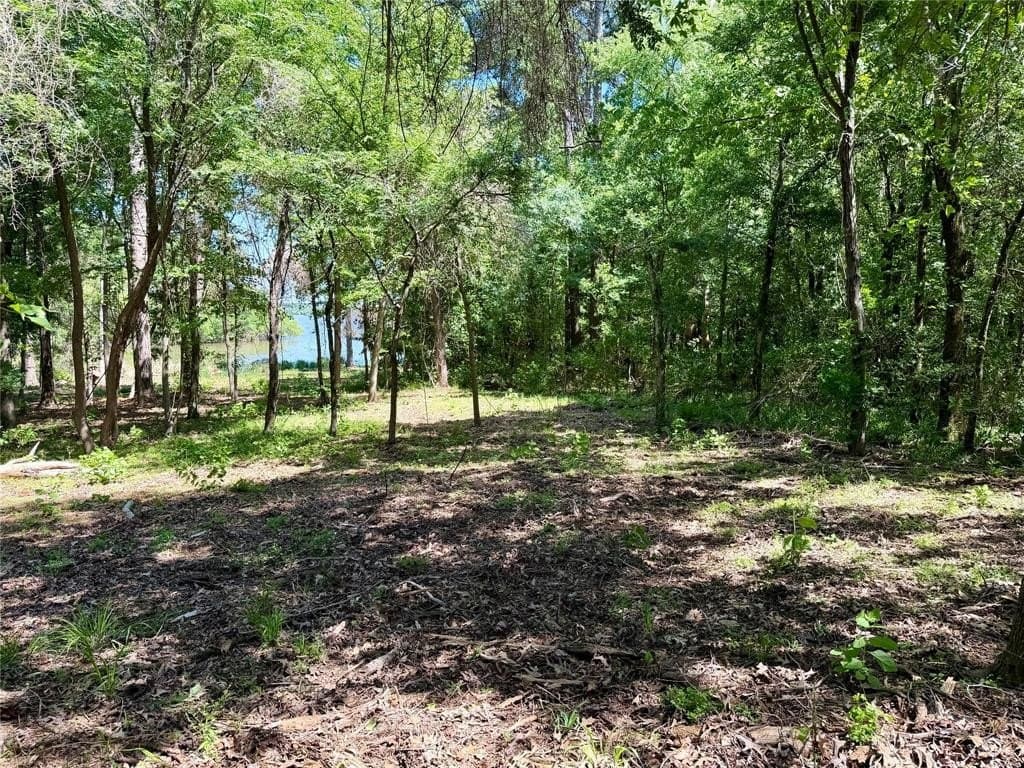 1.25 acres in Henderson County gallery image 4