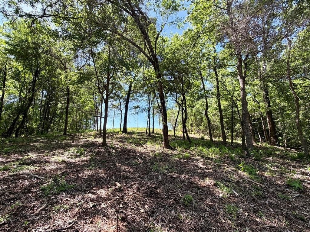 1.25 acres in Henderson County featured view