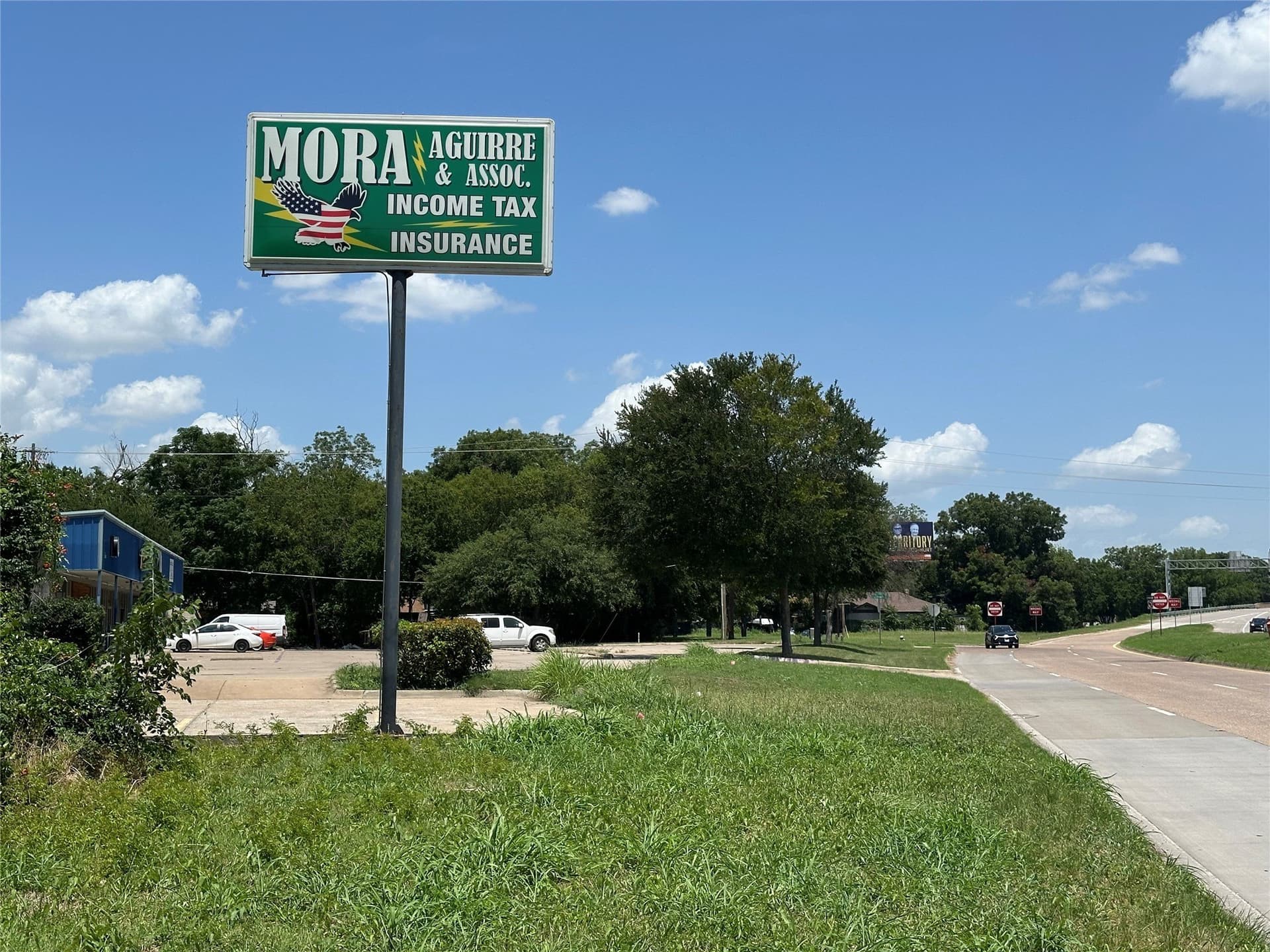 0.33 acres in Dallas County - photo 2