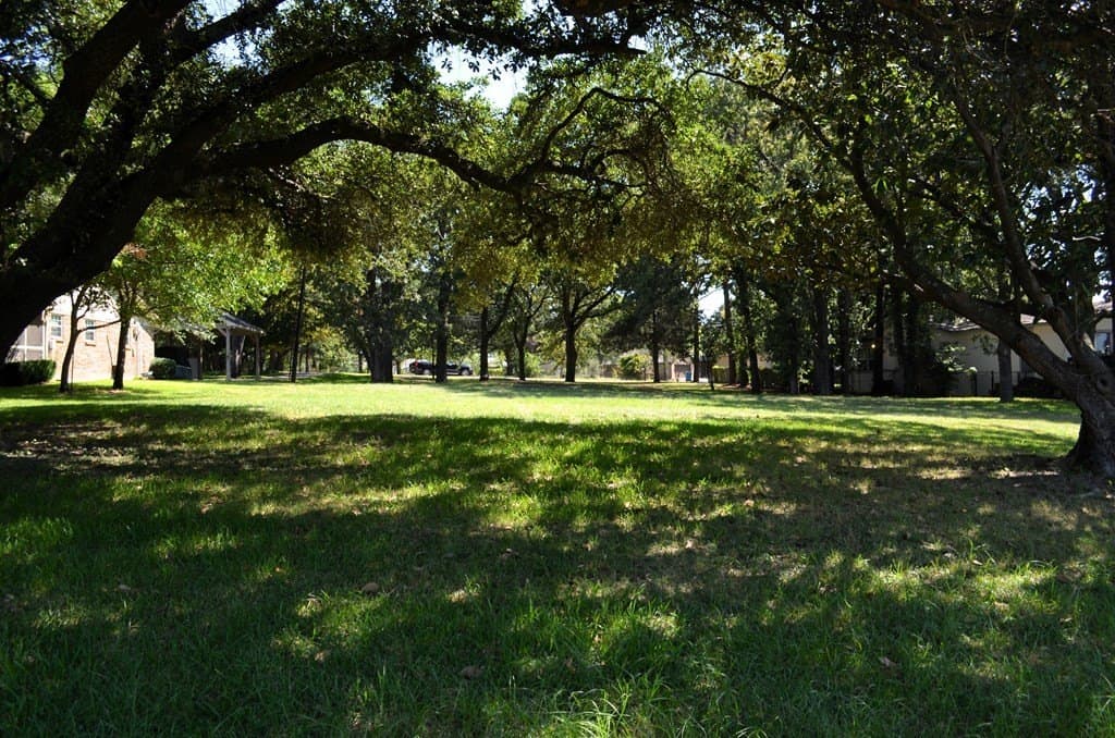 0.28 acres in Henderson County - photo 9