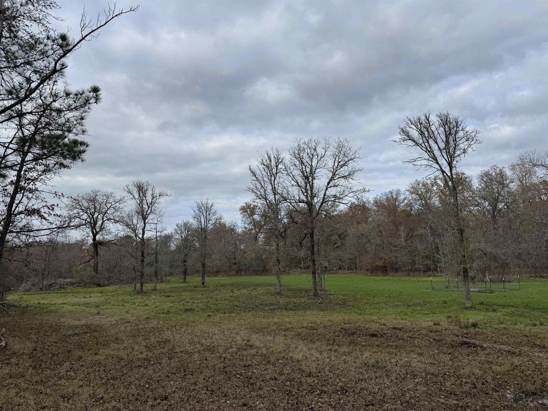 110.46 acres in Harrison County - photo 7