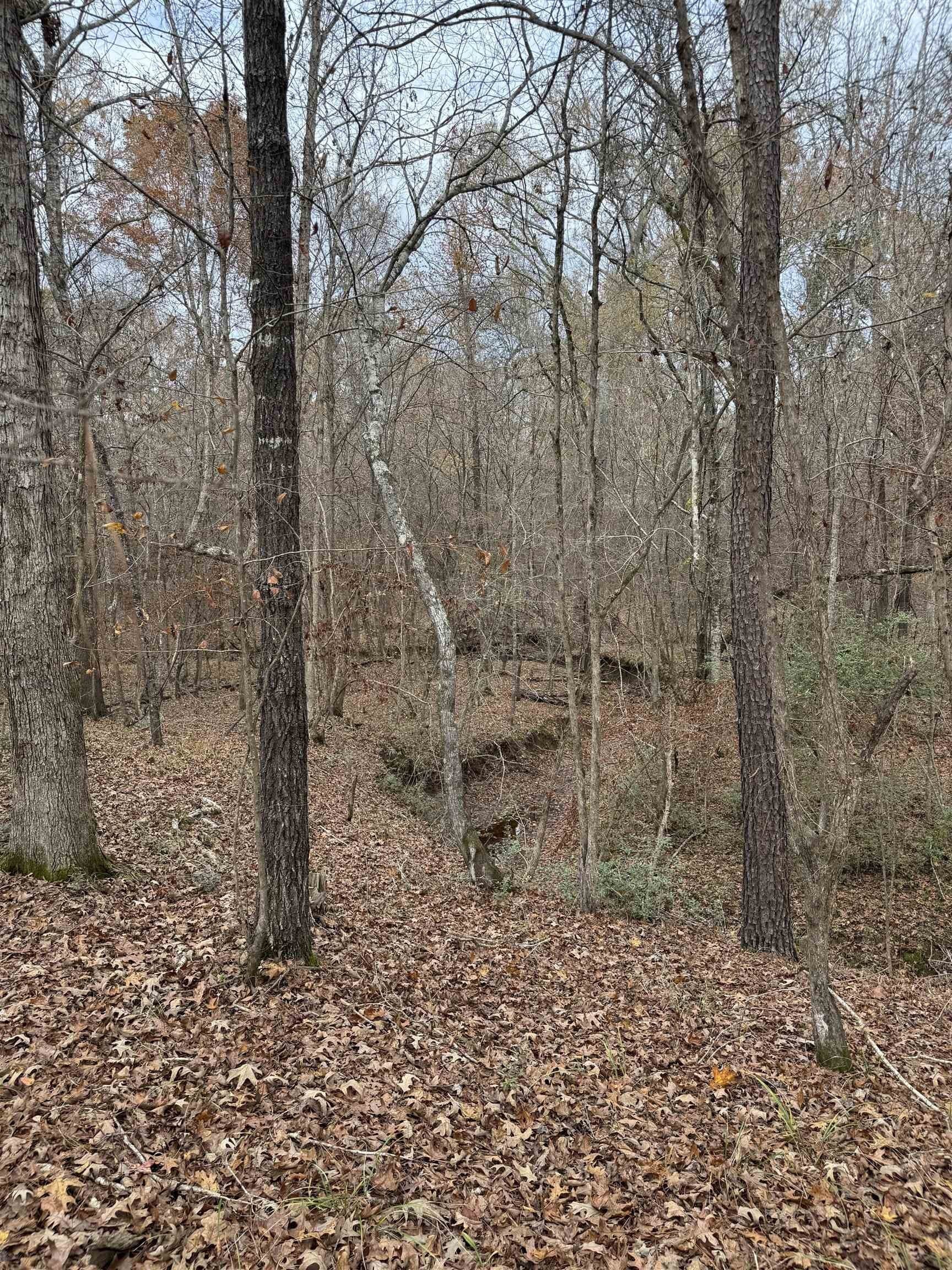 110.46 acres in Harrison County featured view