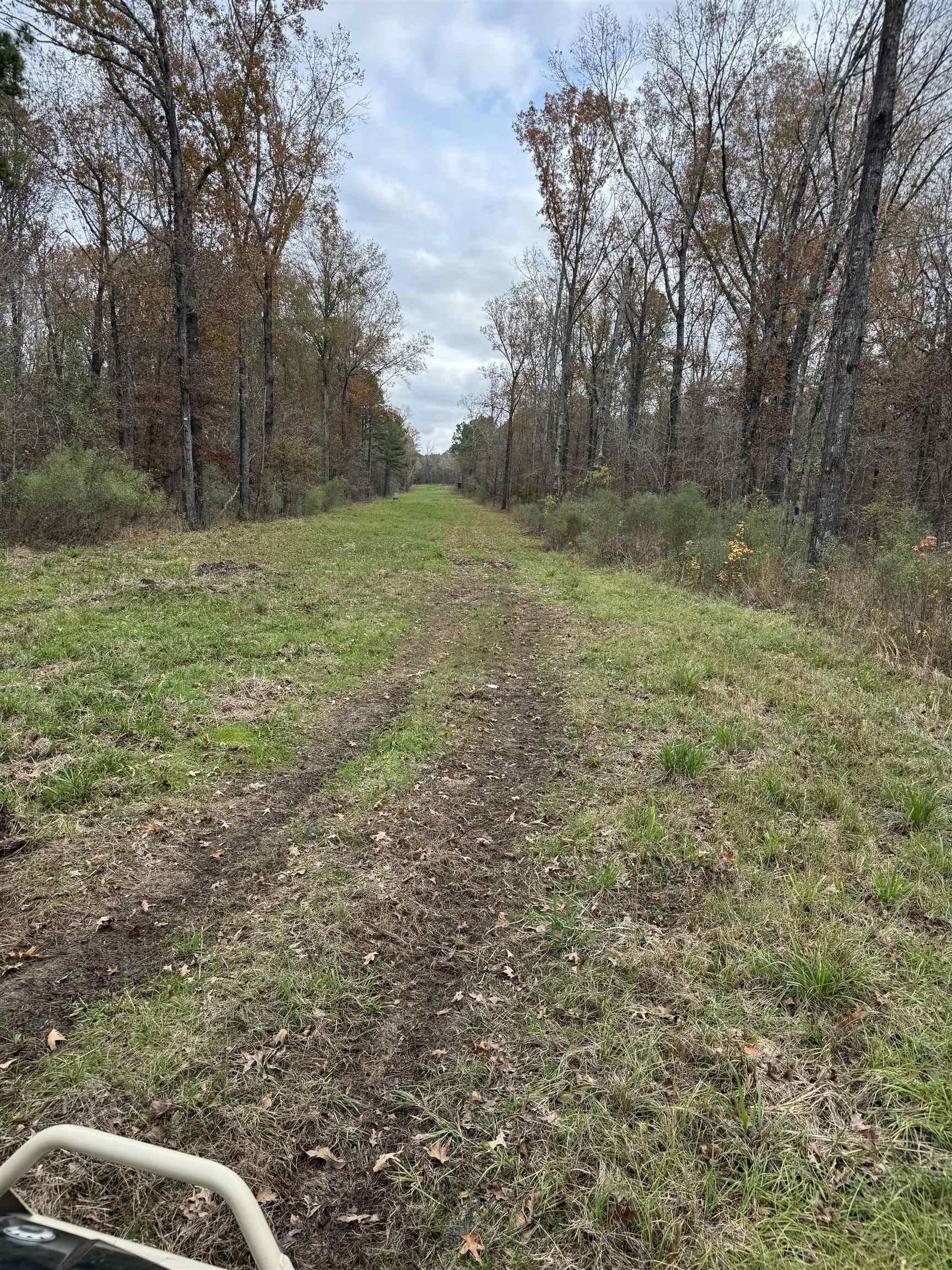 110.46 acres in Harrison County gallery image 2