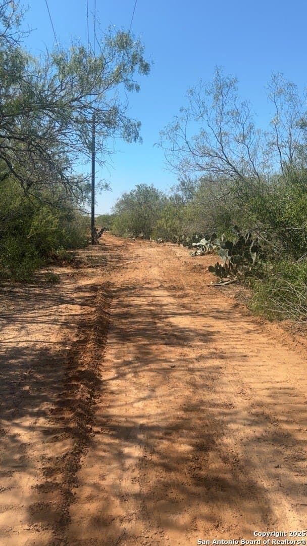 200 acres in Duval County - photo 17