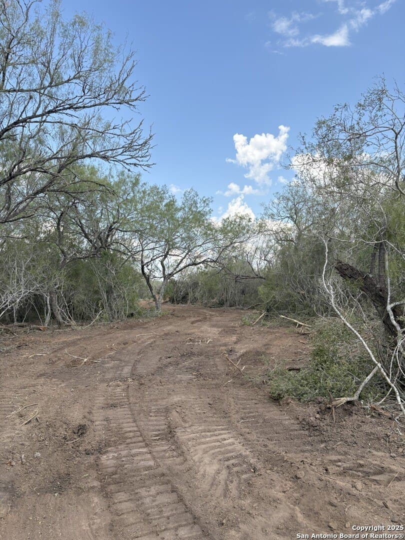 200 acres in Duval County - photo 10