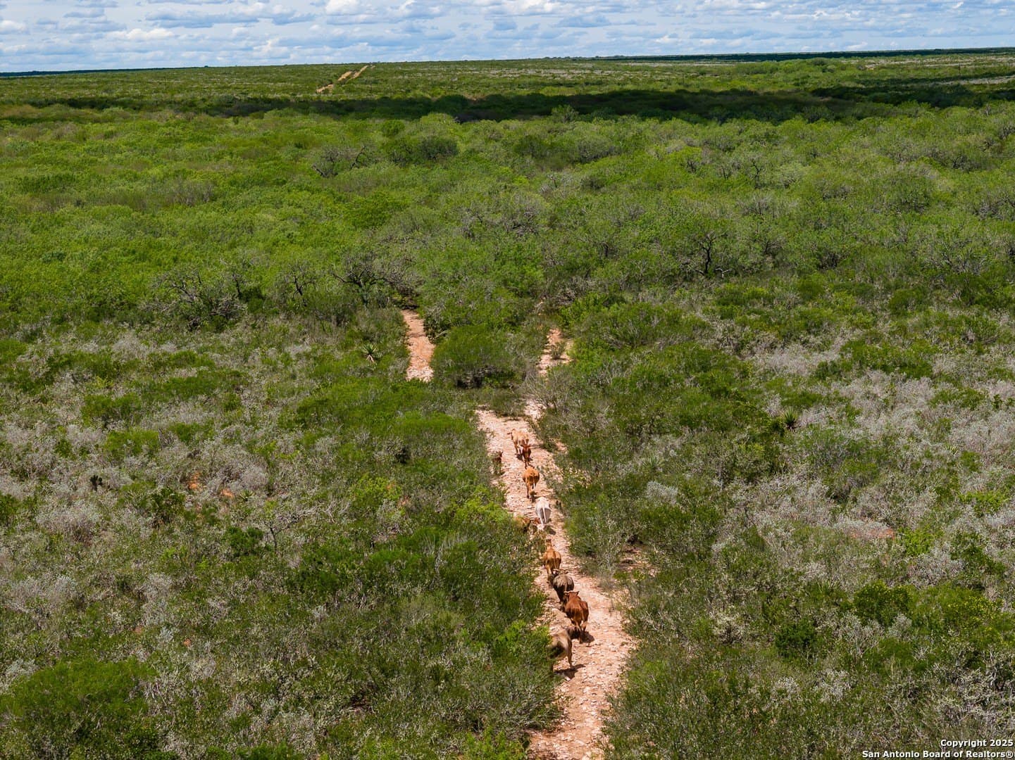 200 acres in Duval County - photo 13
