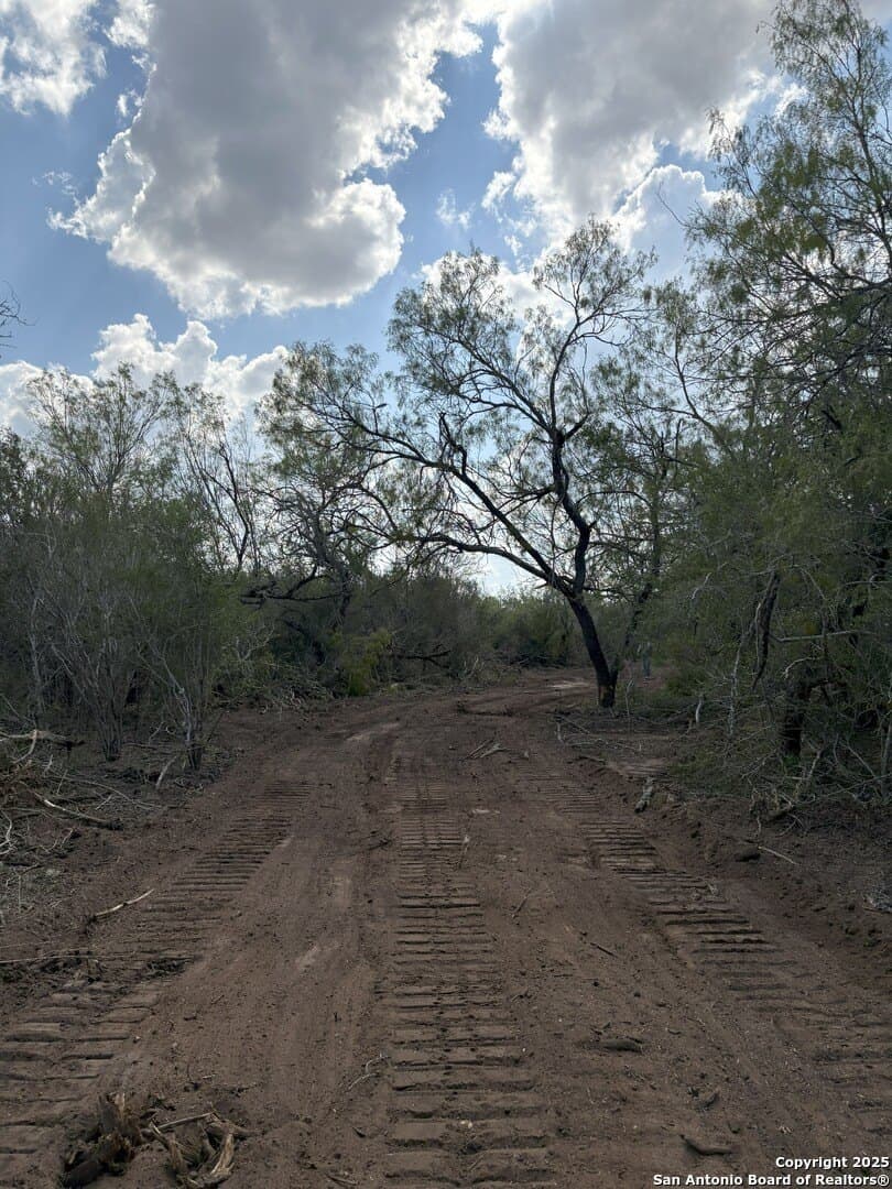 200 acres in Duval County - photo 12