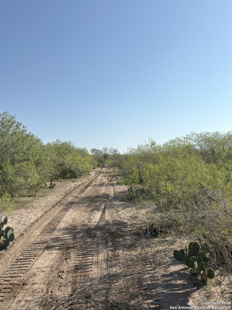 200 acres in Duval County - photo 50