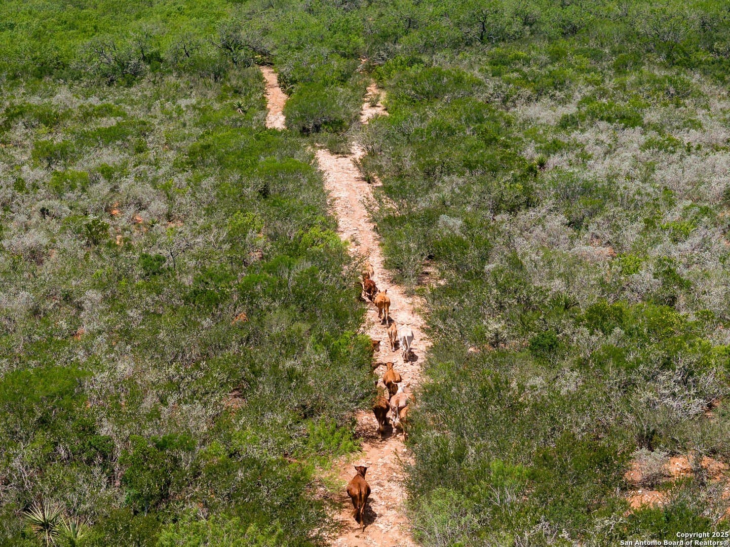 200 acres in Duval County