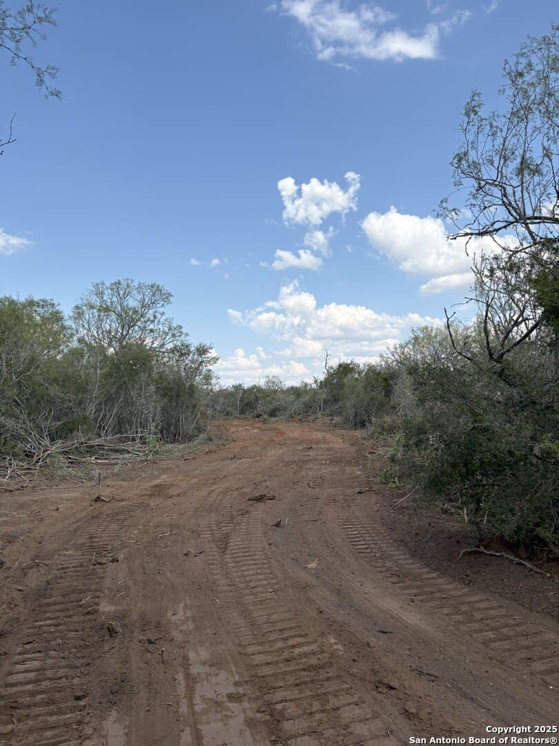 200 acres in Duval County - photo 6