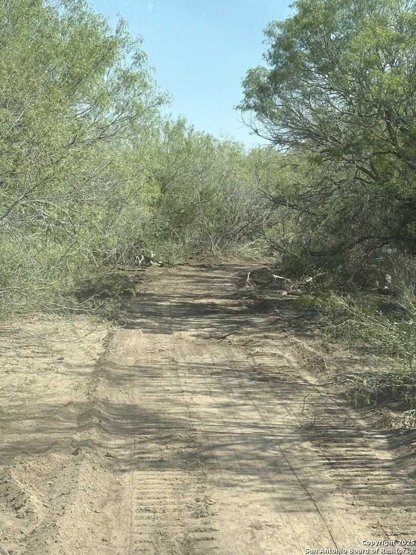 200 acres in Duval County - photo 36