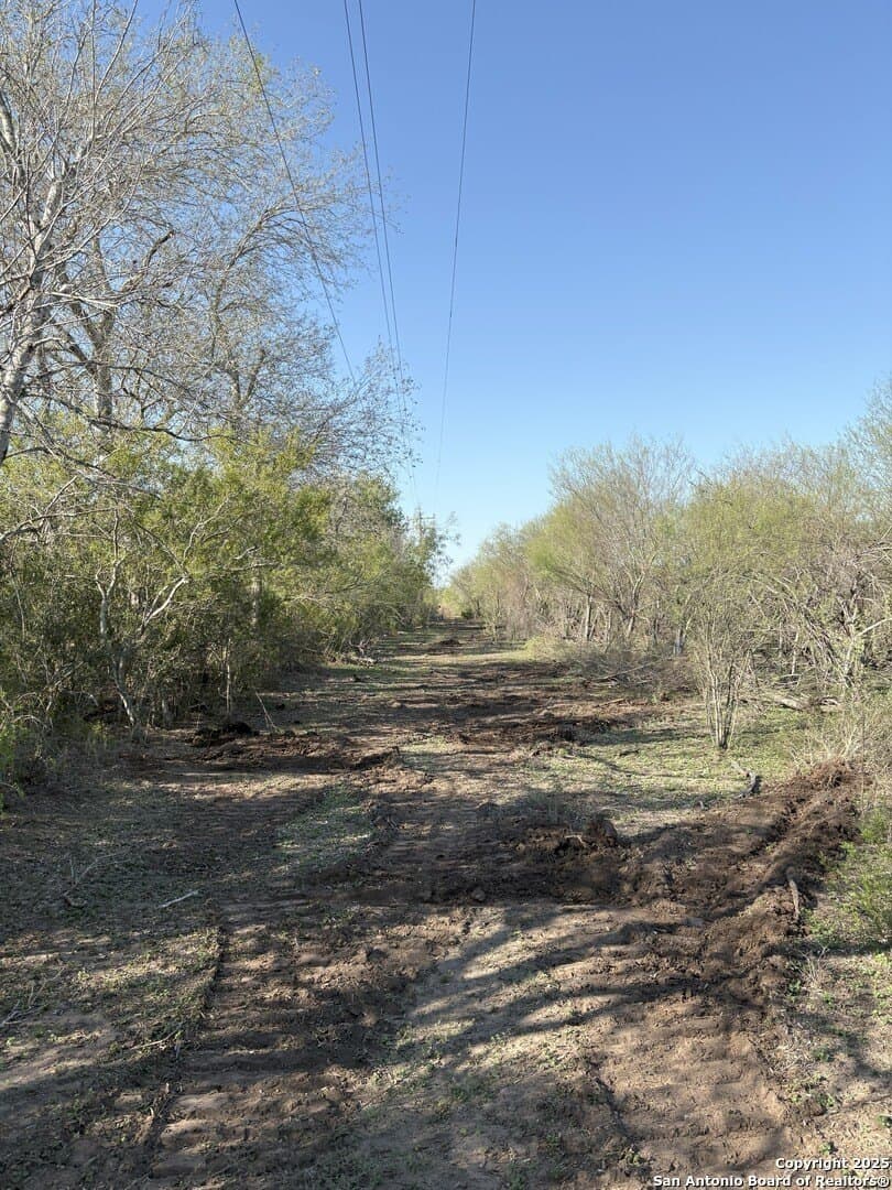 200 acres in Duval County - photo 28