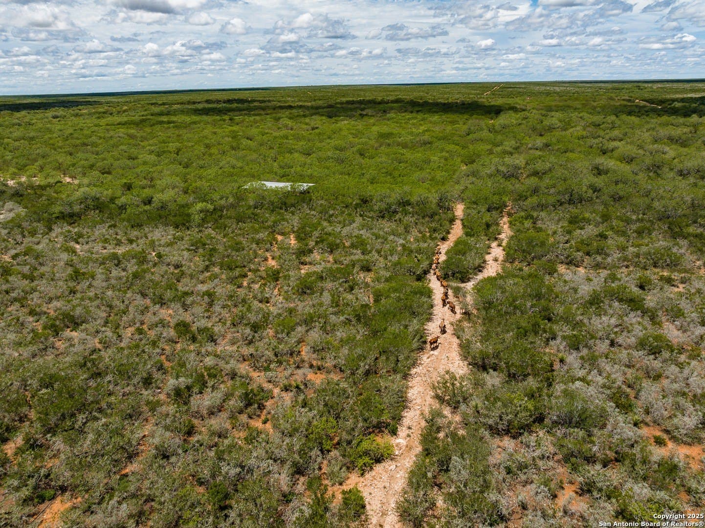 200 acres in Duval County - photo 21