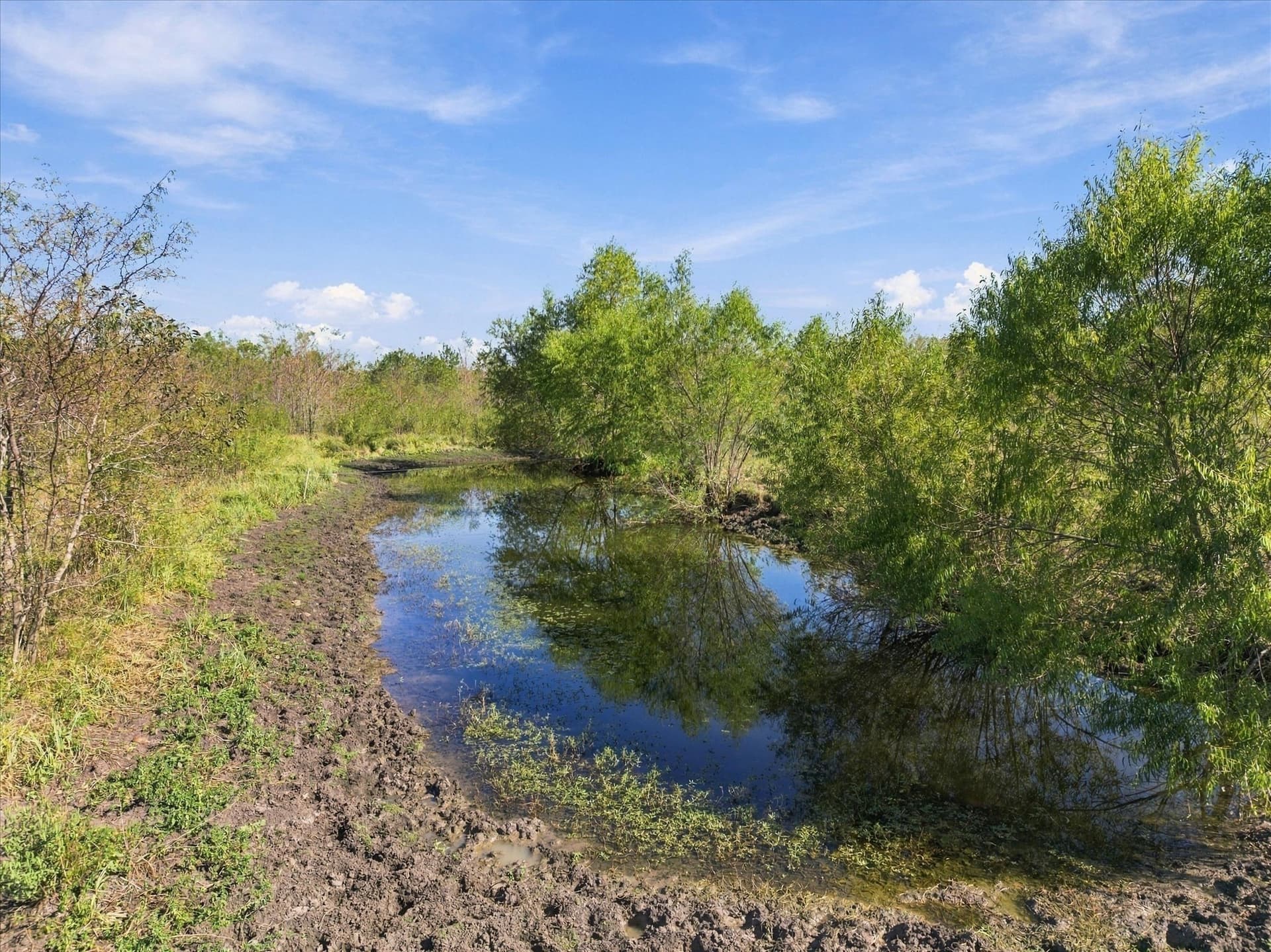 56.82 acres in Hopkins County - photo 16