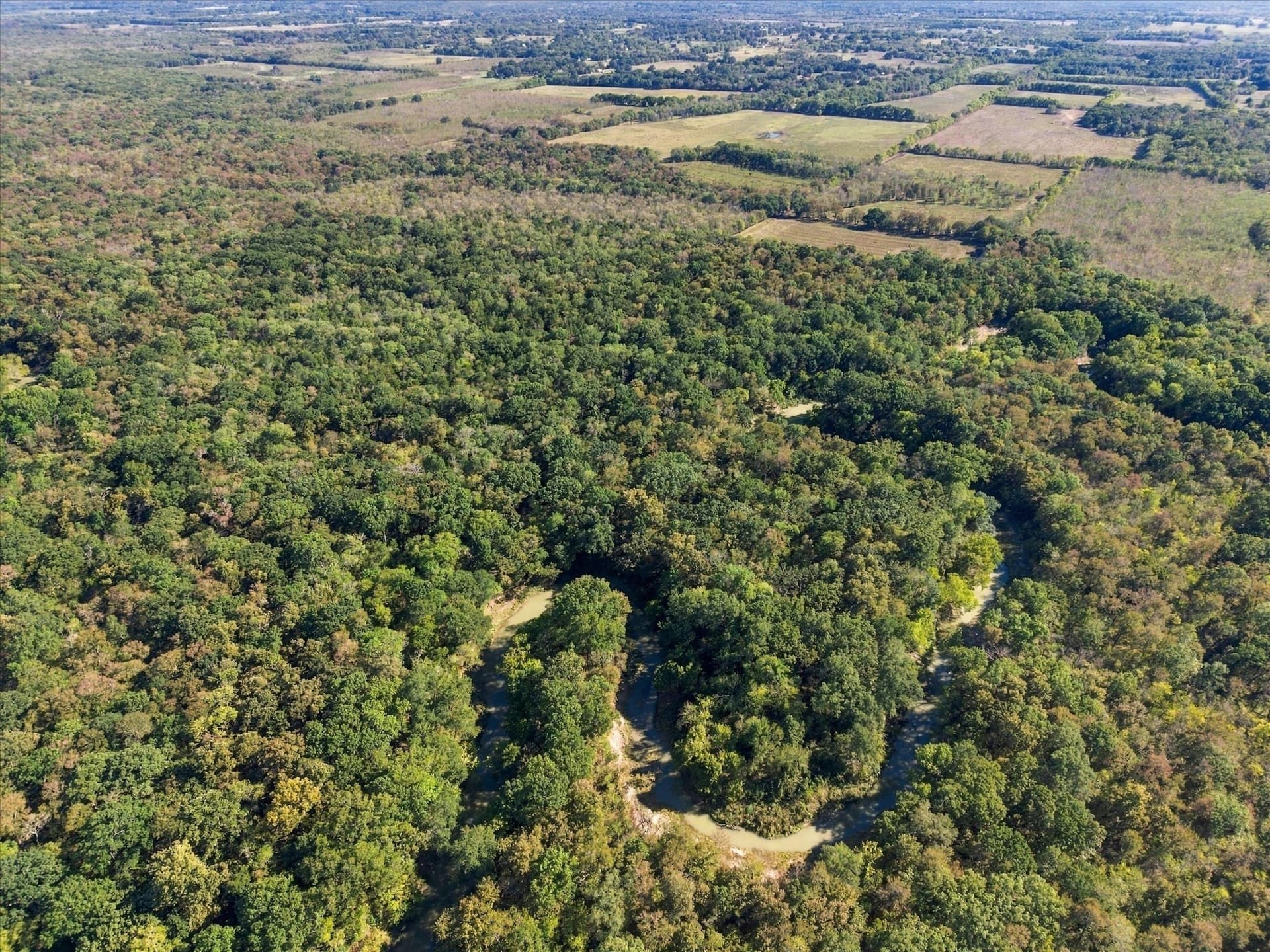 56.82 acres in Hopkins County - photo 25