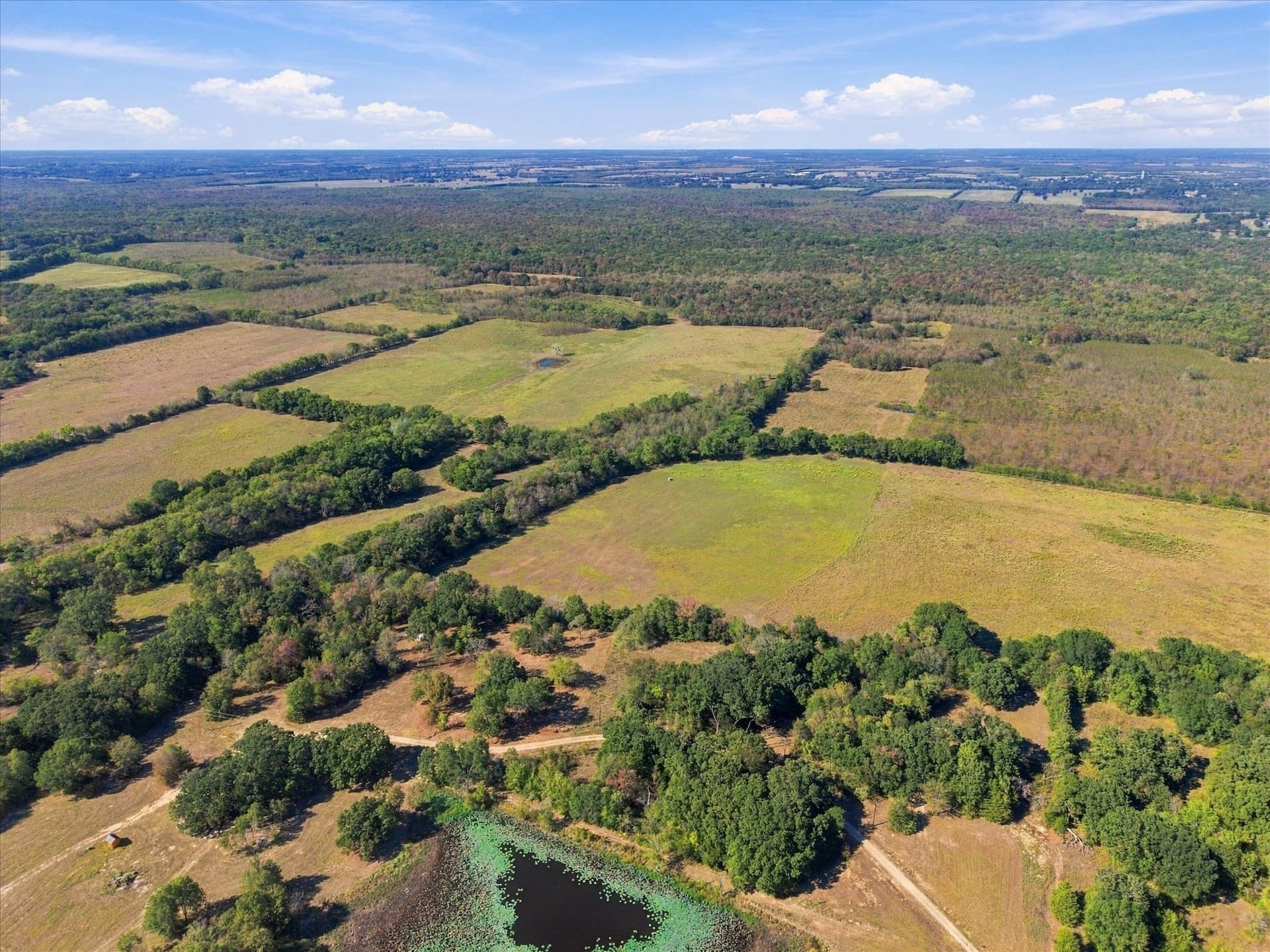 56.82 acres in Hopkins County - photo 2