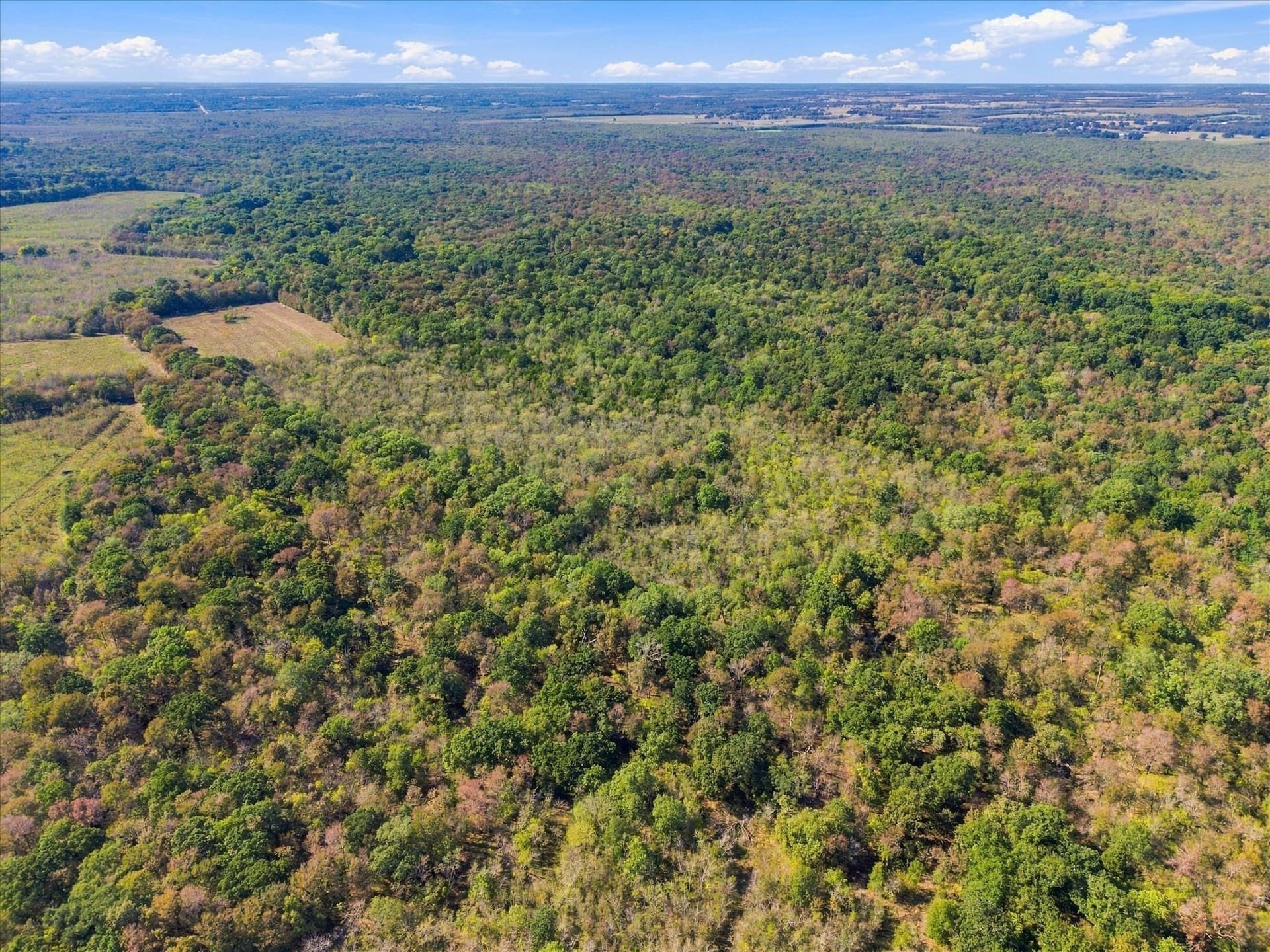 56.82 acres in Hopkins County - photo 22