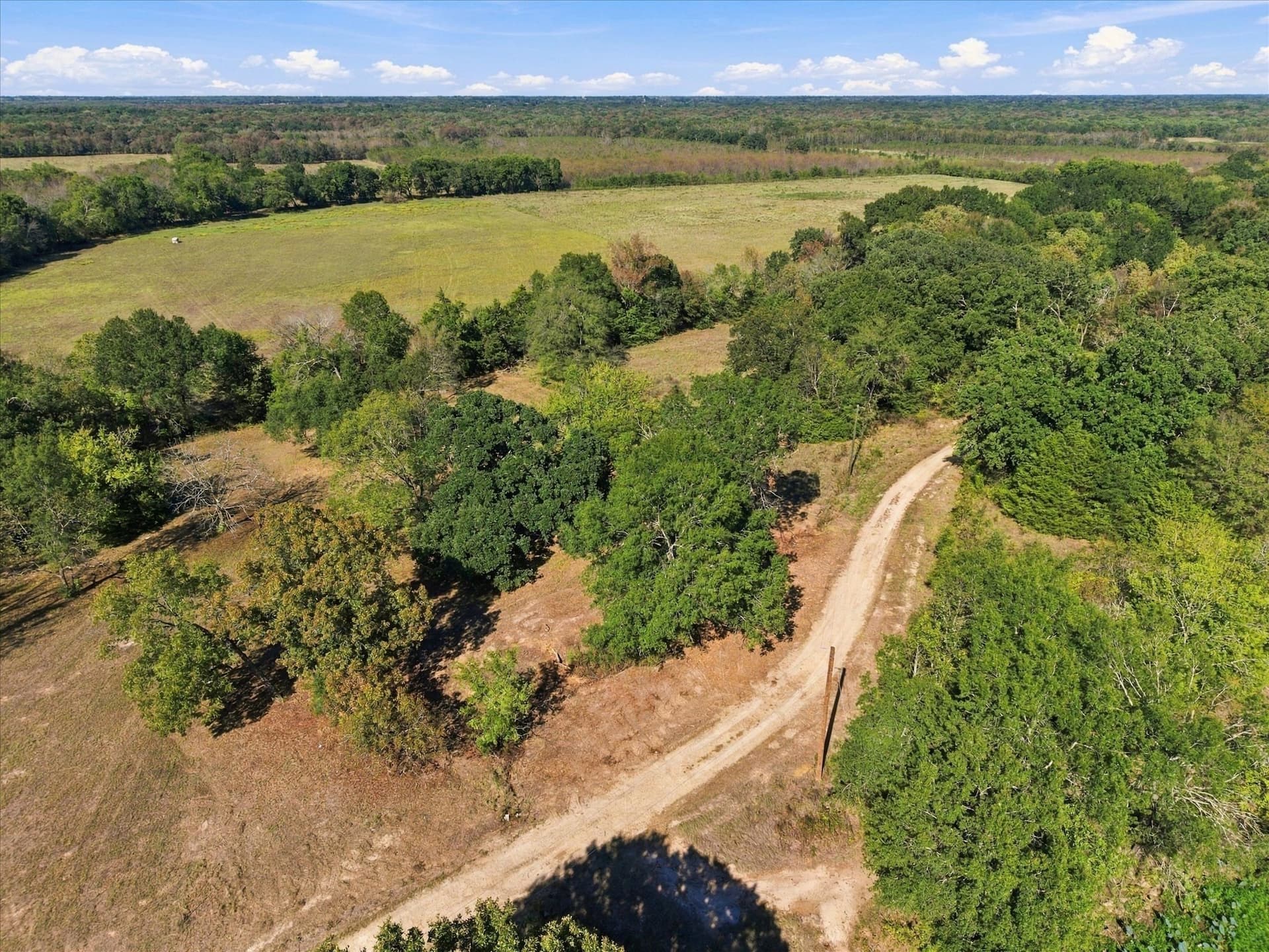 56.82 acres in Hopkins County - photo 4