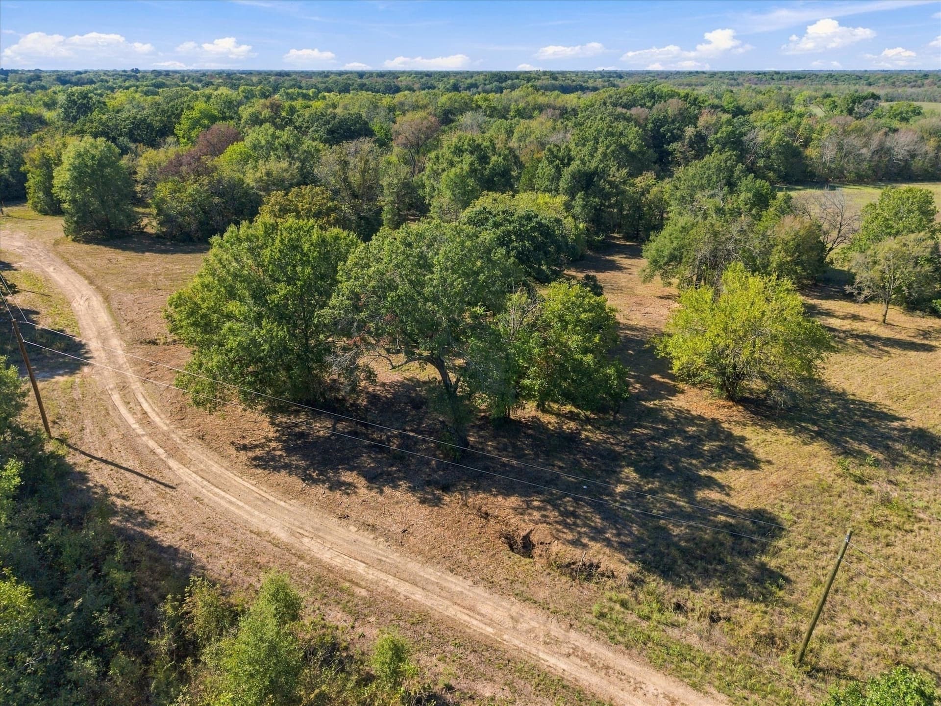 56.82 acres in Hopkins County - photo 5
