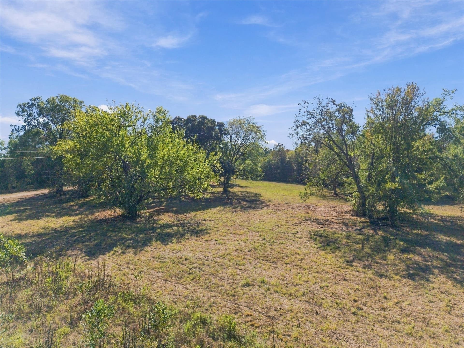 56.82 acres in Hopkins County - photo 7