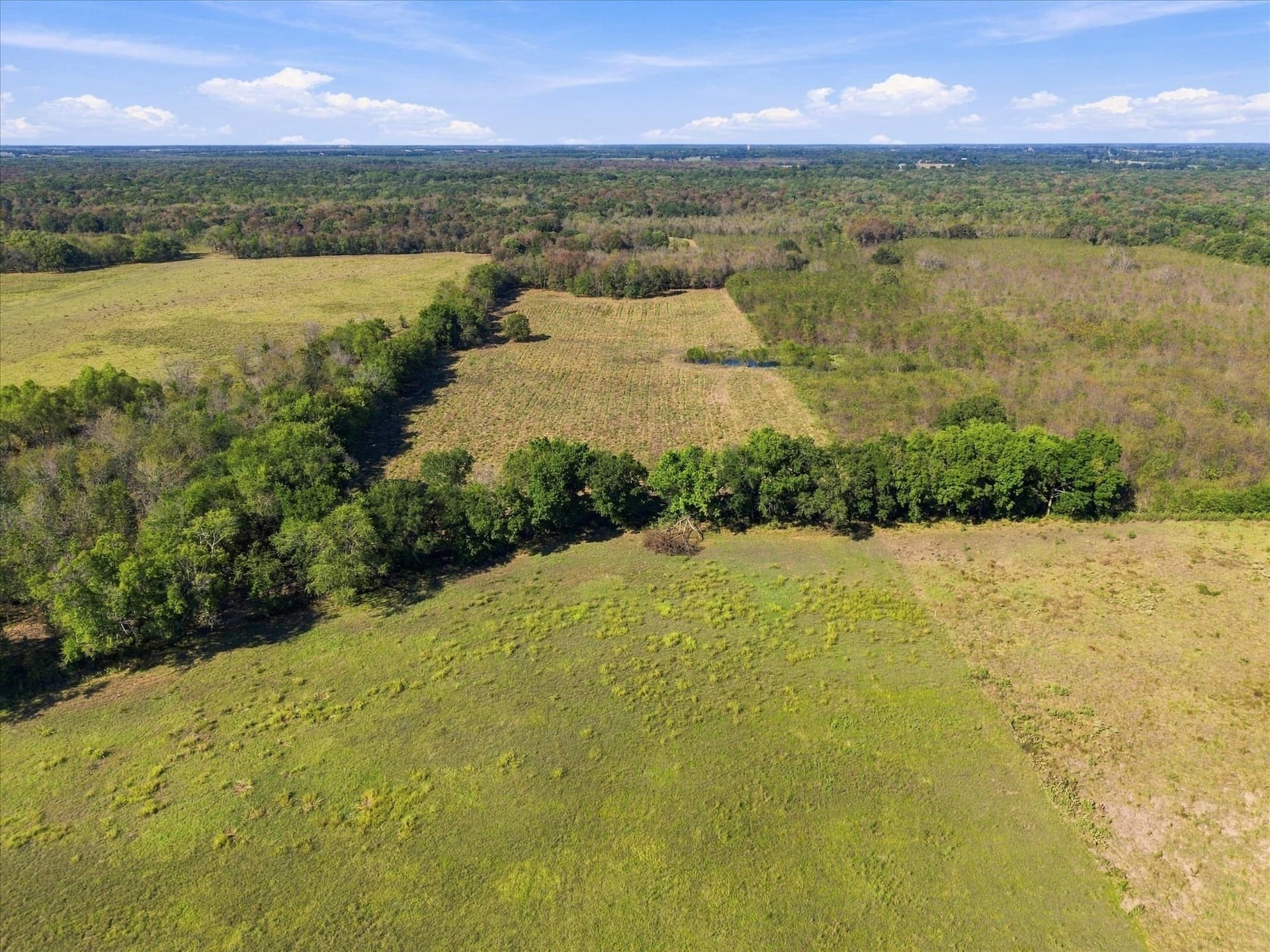 56.82 acres in Hopkins County - photo 12