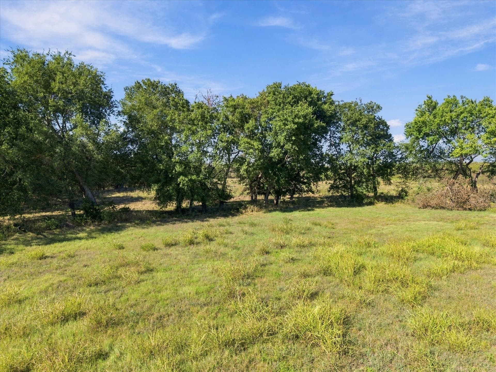 56.82 acres in Hopkins County - photo 13
