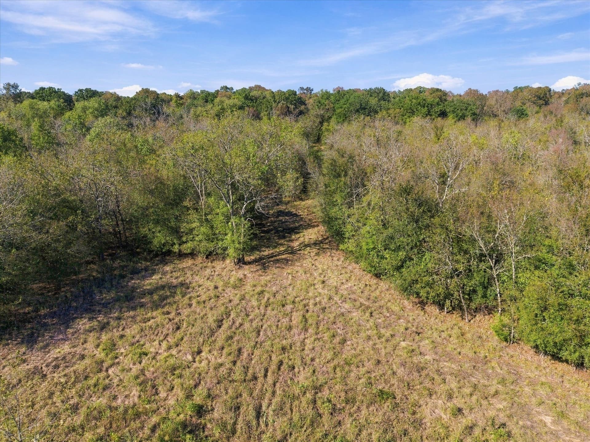 56.82 acres in Hopkins County - photo 19