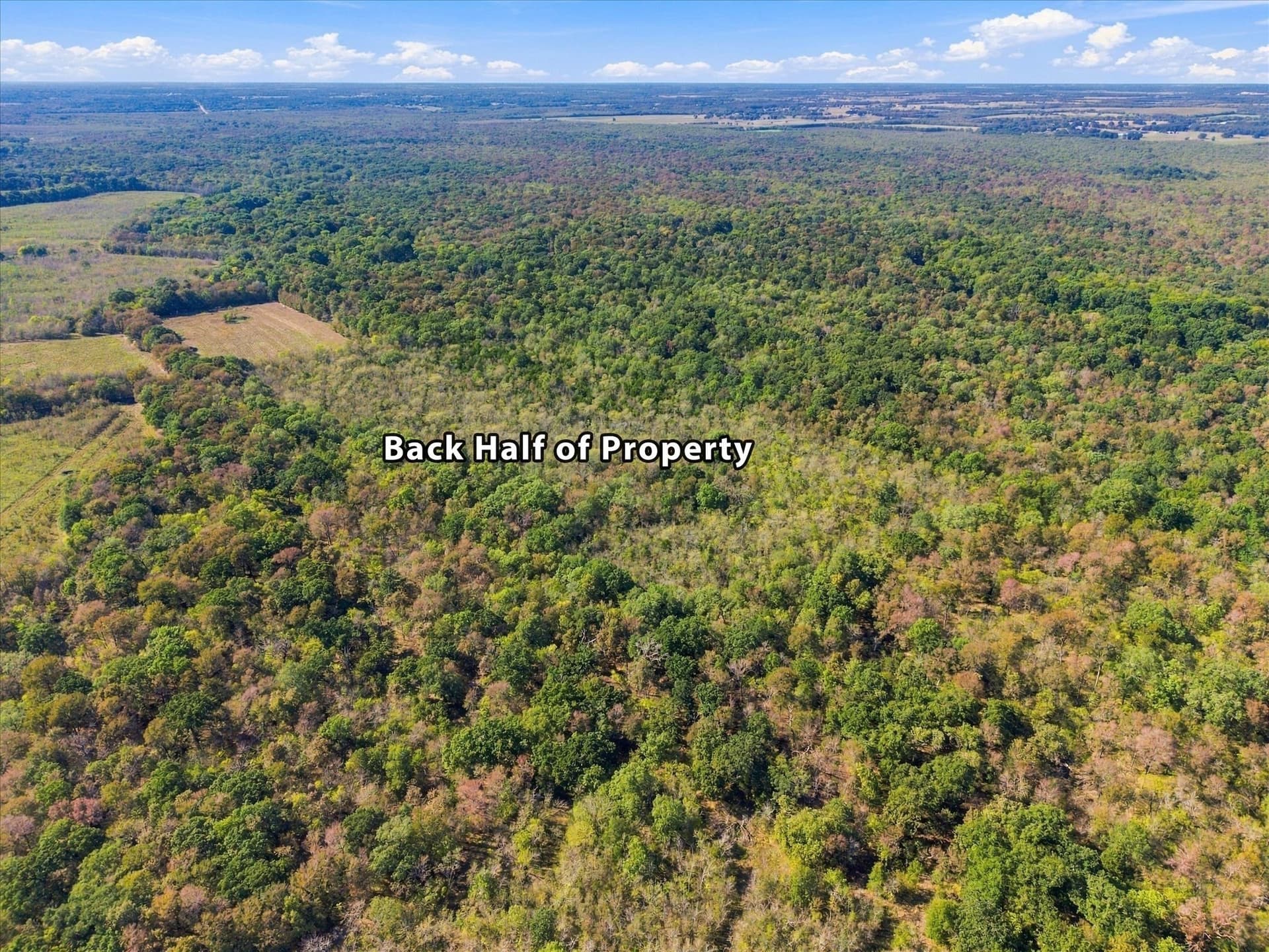 56.82 acres in Hopkins County - photo 23