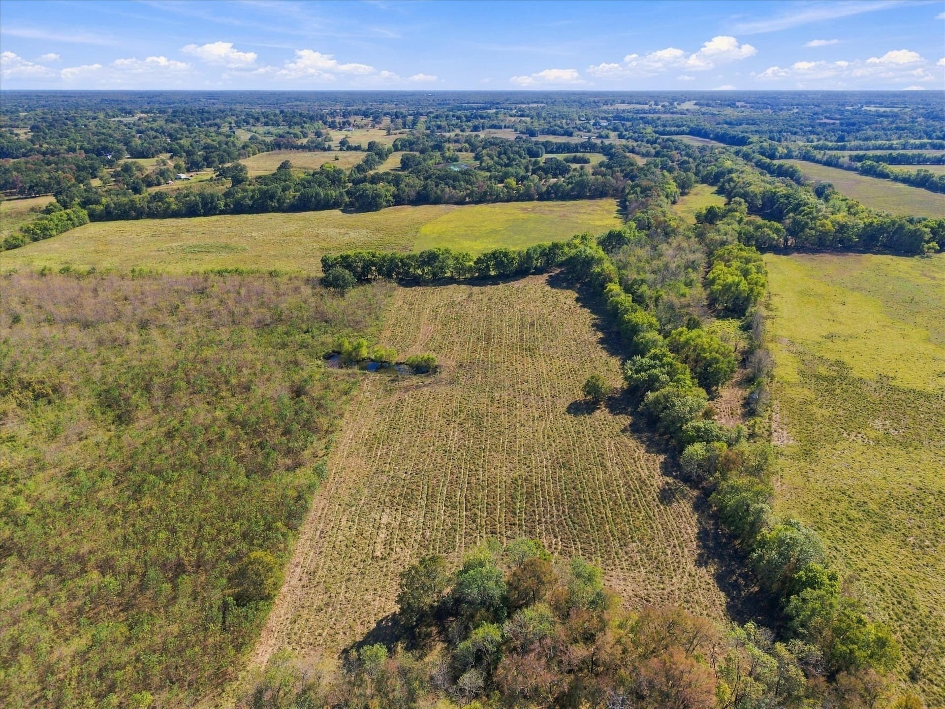 56.82 acres in Hopkins County - photo 17