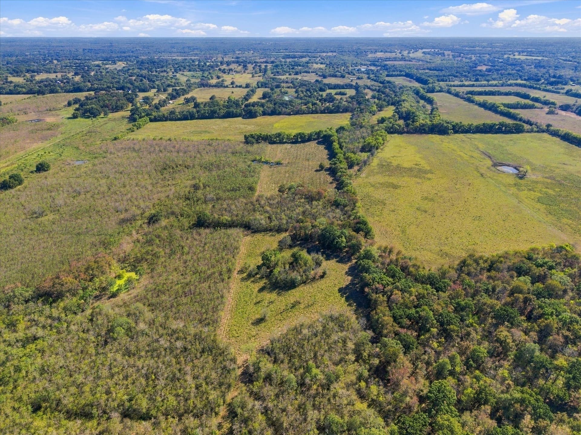 56.82 acres in Hopkins County - photo 21