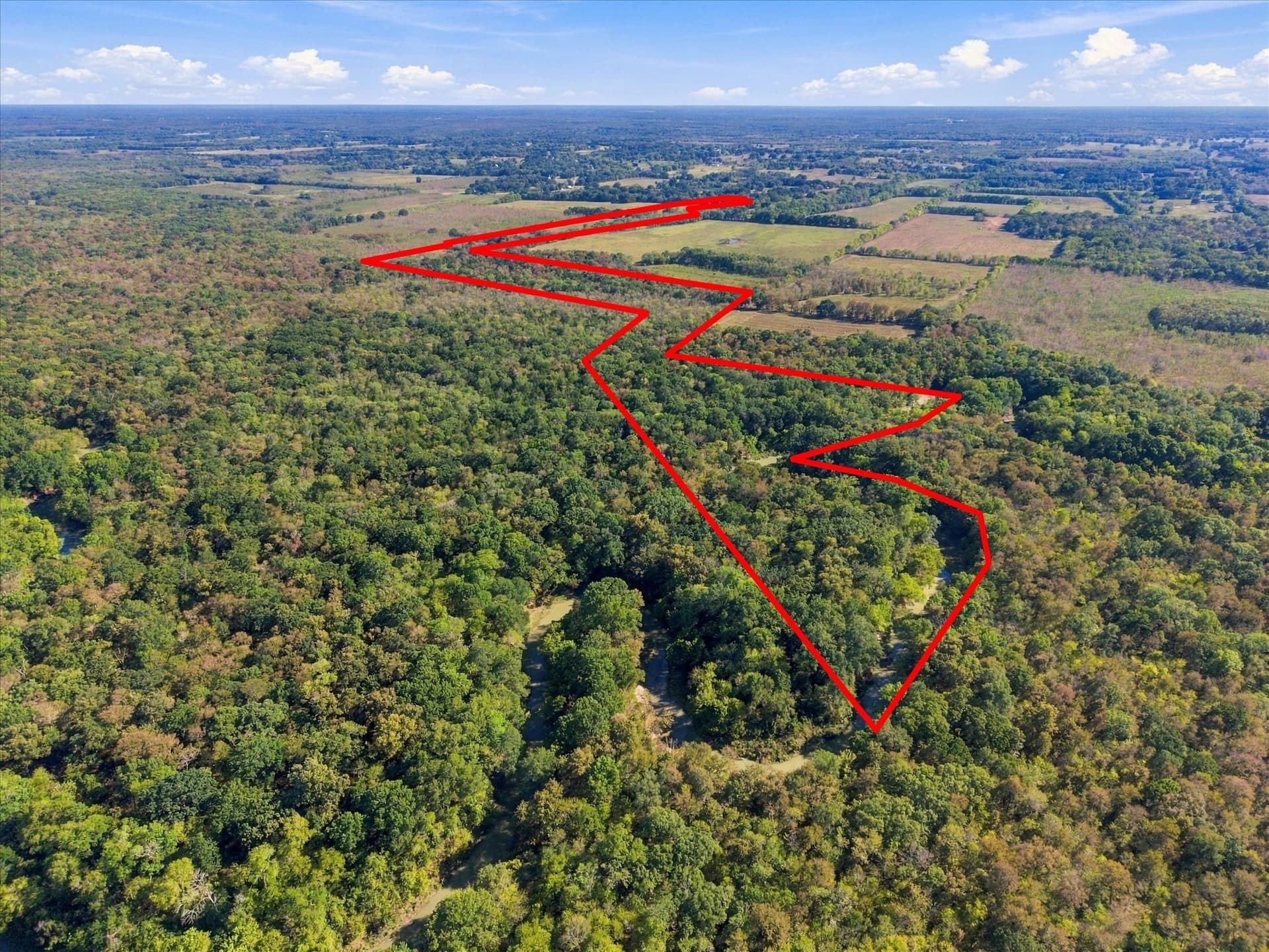 56.82 acres in Hopkins County - photo 27