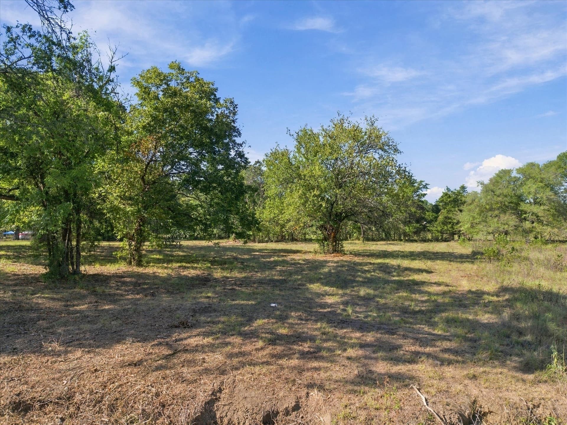 56.82 acres in Hopkins County - photo 6