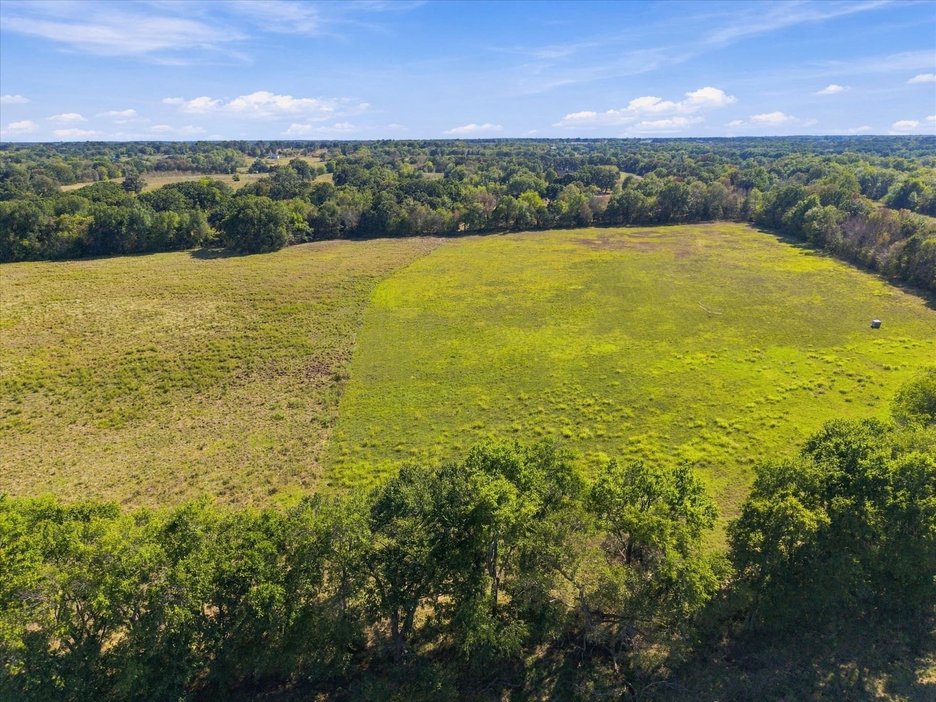 56.82 acres in Hopkins County - photo 11