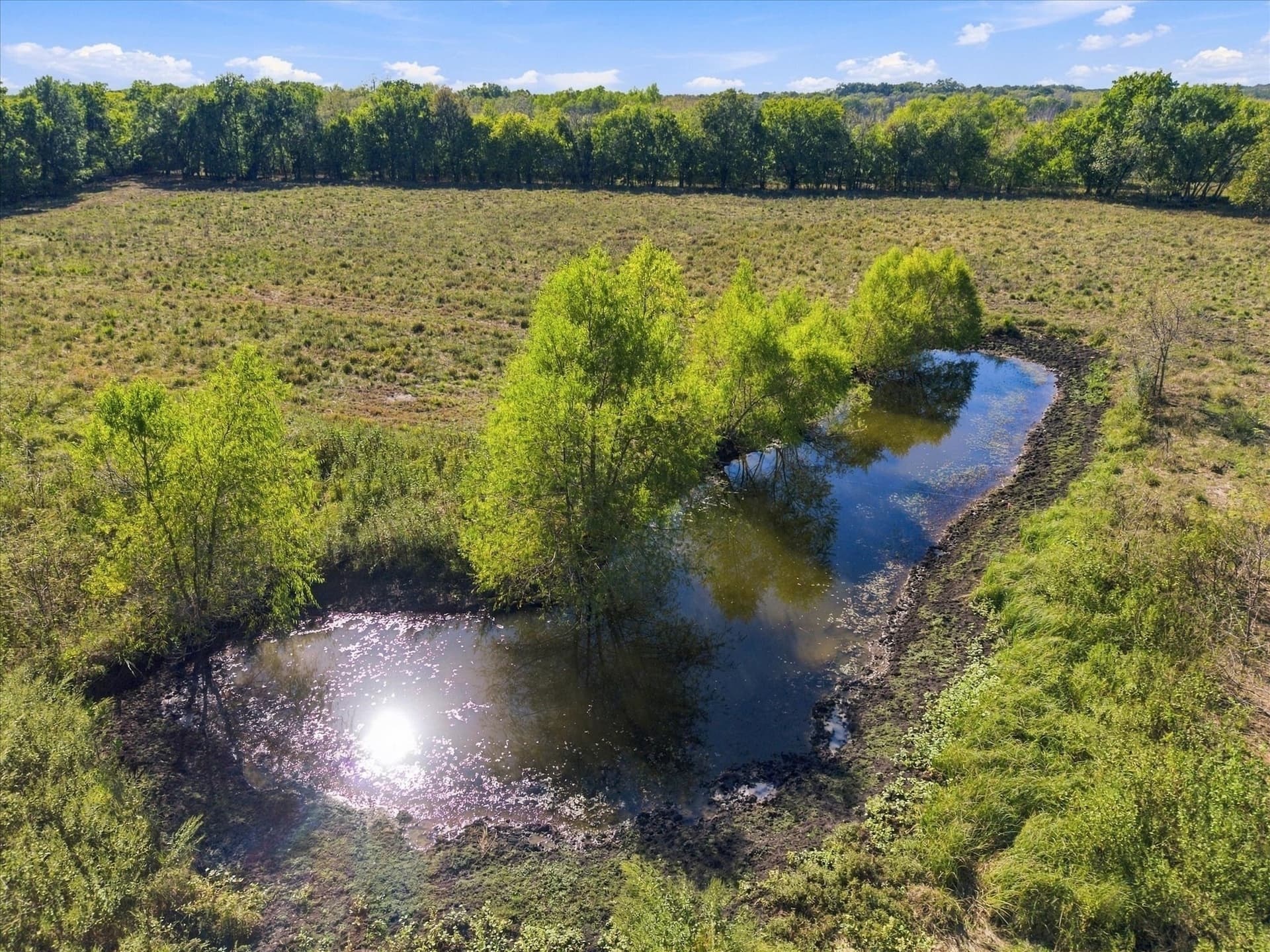 56.82 acres in Hopkins County - photo 15