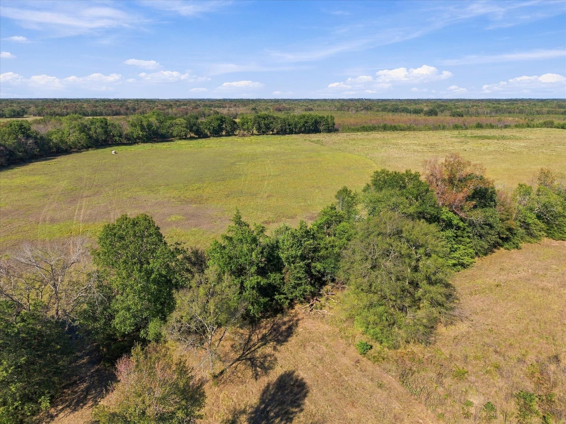 56.82 acres in Hopkins County - photo 8