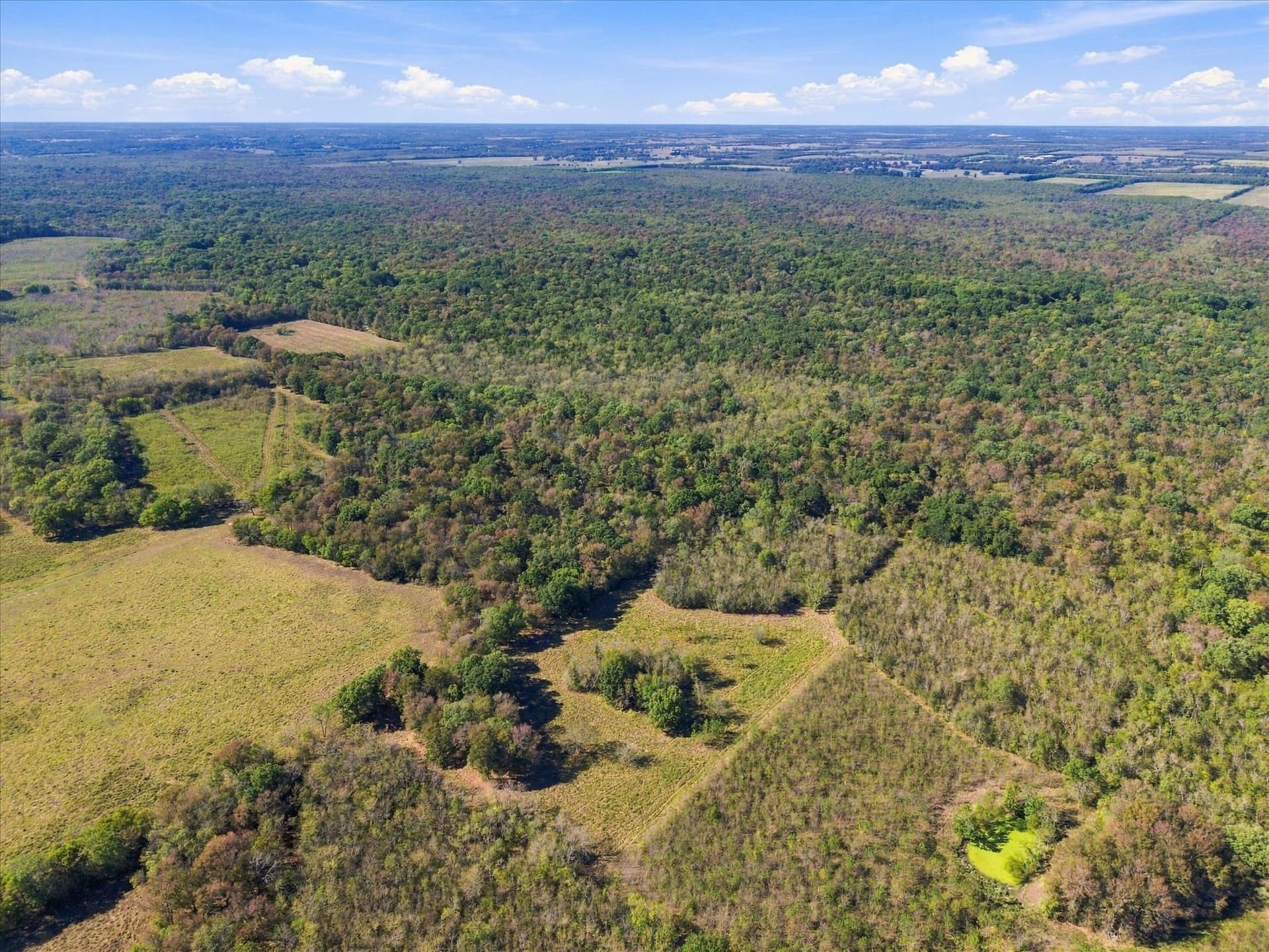 56.82 acres in Hopkins County - photo 18