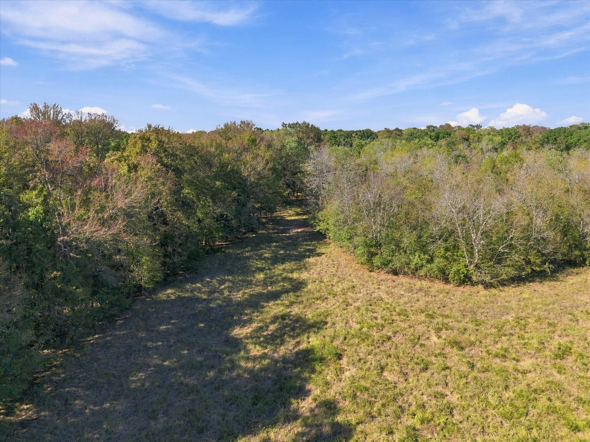 56.82 acres in Hopkins County - photo 20