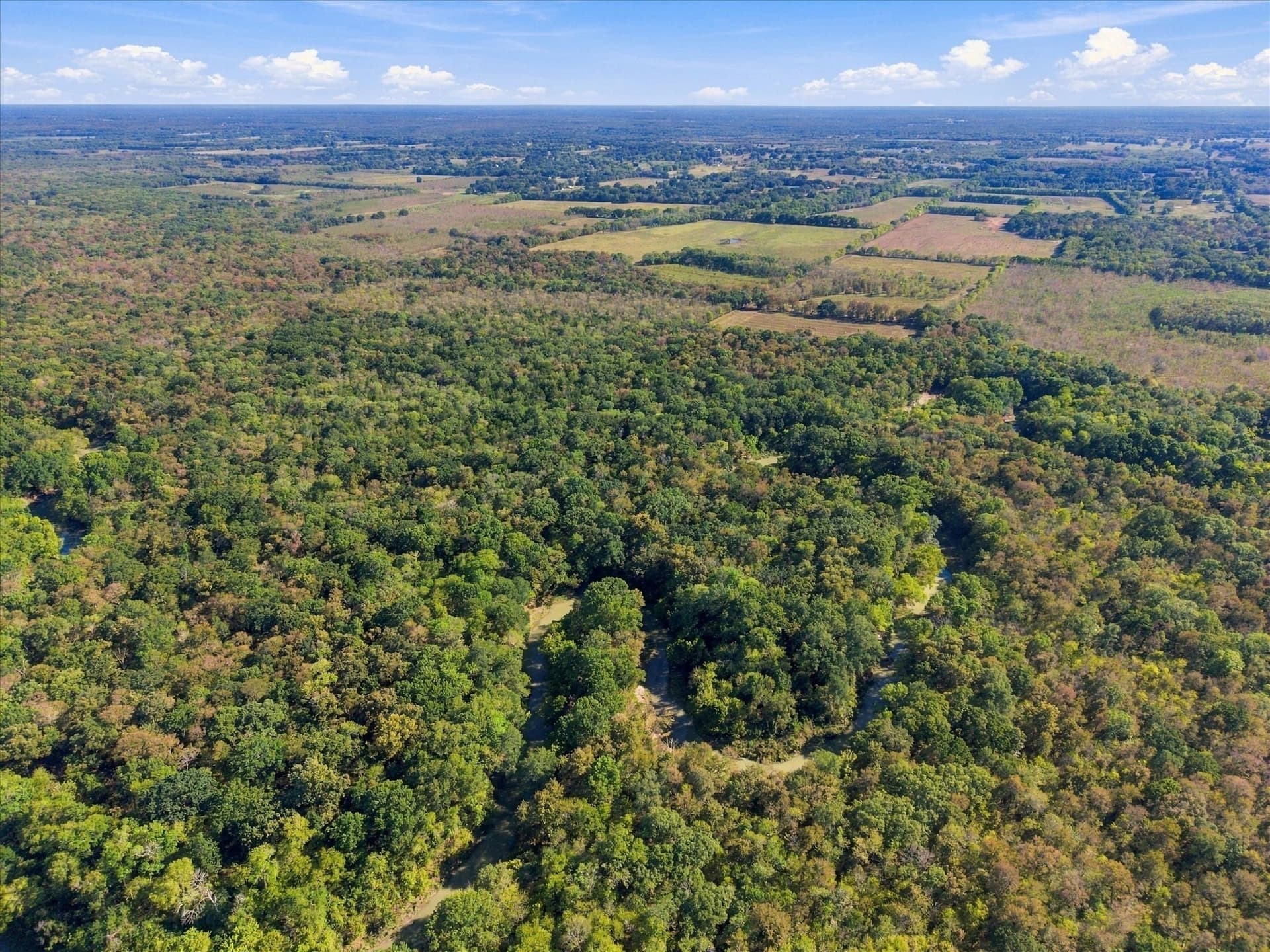 56.82 acres in Hopkins County - photo 28