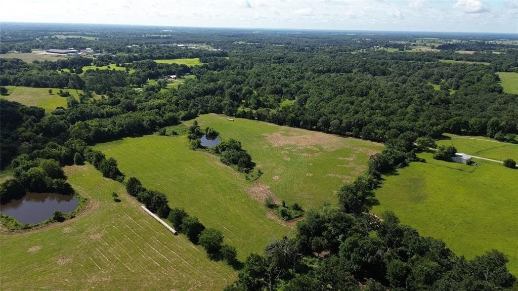 4.21 acres in Rains County gallery image 4